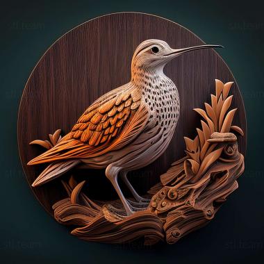 3D model woodcock (STL)